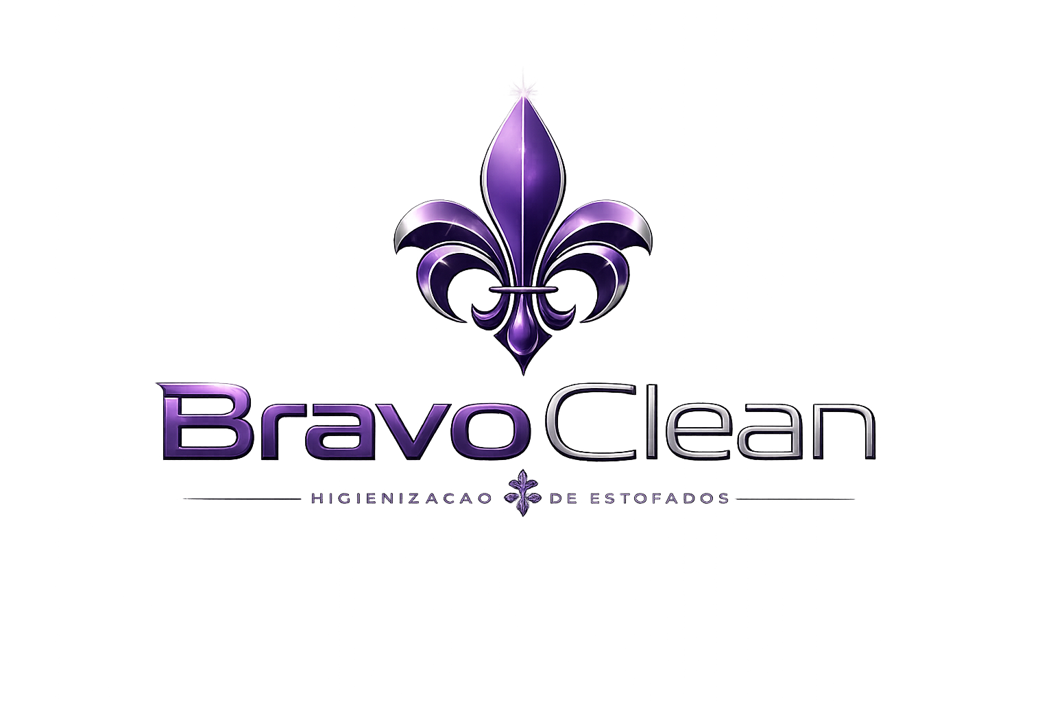 Logo BravoClean